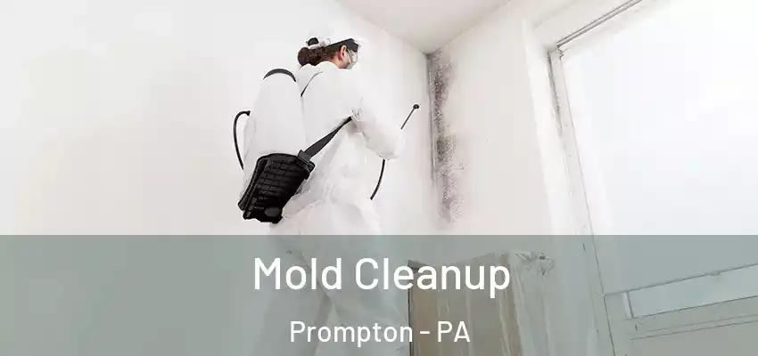 Mold Cleanup Prompton - PA