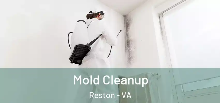 Mold Cleanup Reston - VA
