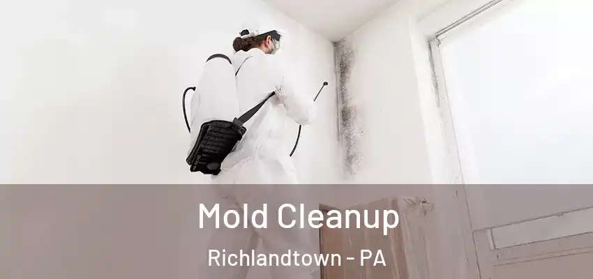 Mold Cleanup Richlandtown - PA