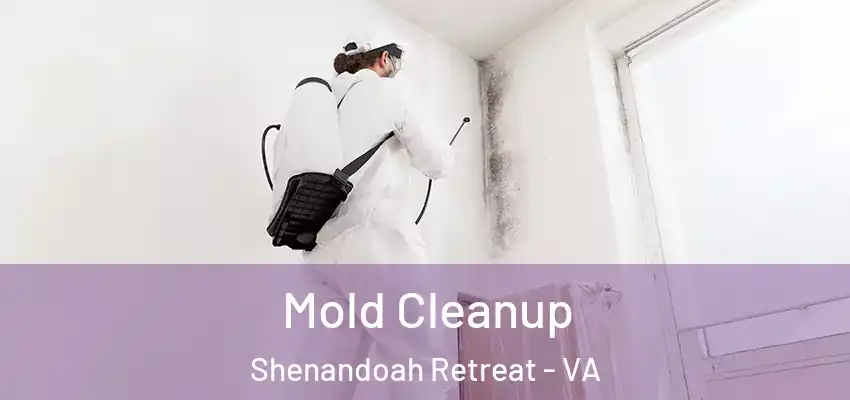  Mold Cleanup Shenandoah Retreat - VA