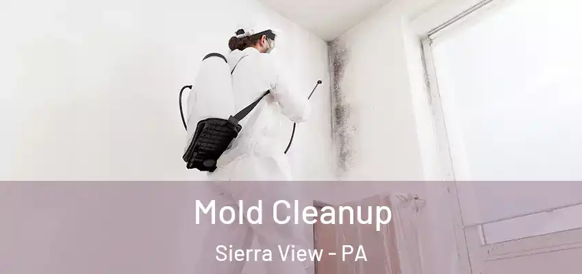  Mold Cleanup Sierra View - PA
