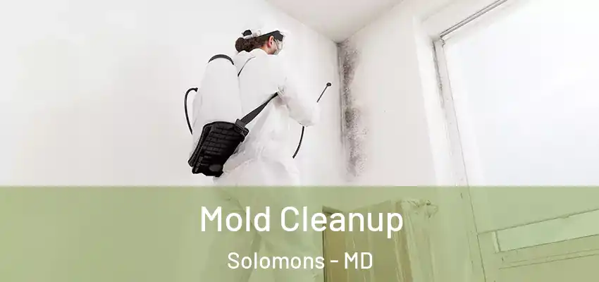  Mold Cleanup Solomons - MD