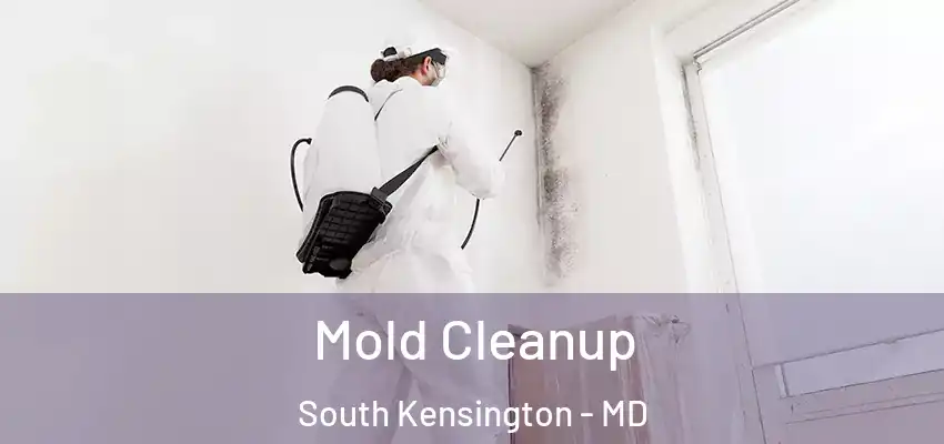Mold Cleanup South Kensington - MD