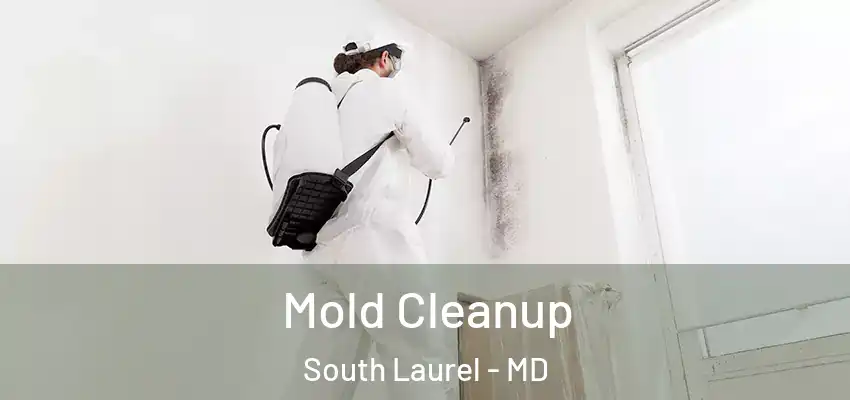  Mold Cleanup South Laurel - MD