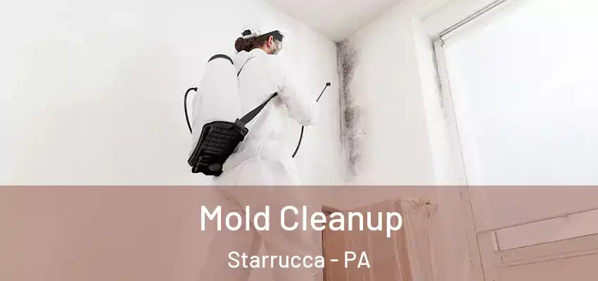  Mold Cleanup Starrucca - PA