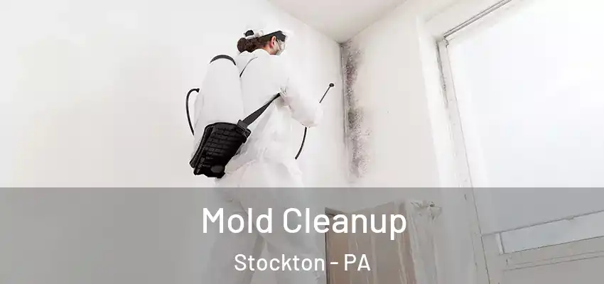 Mold Cleanup Stockton - PA