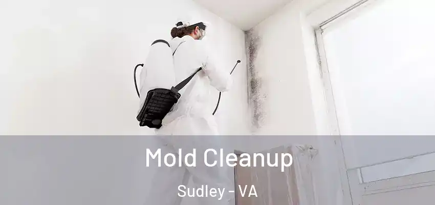 Mold Cleanup Sudley - VA