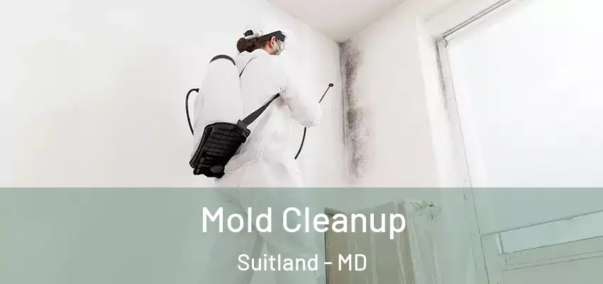 Mold Cleanup Suitland - MD