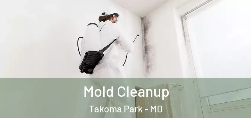 Mold Cleanup Takoma Park - MD