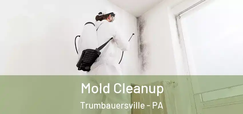  Mold Cleanup Trumbauersville - PA