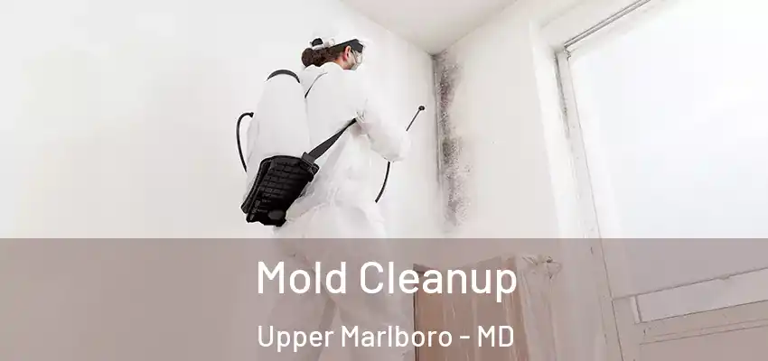  Mold Cleanup Upper Marlboro - MD