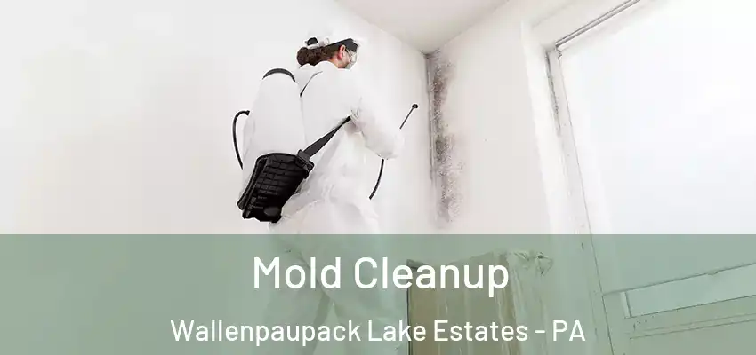 Mold Cleanup Wallenpaupack Lake Estates - PA