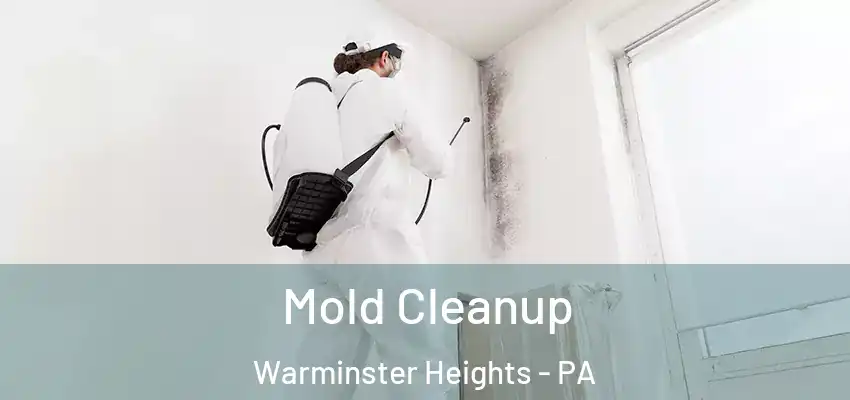 Mold Cleanup Warminster Heights - PA