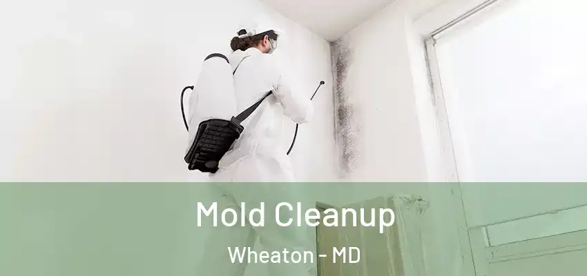  Mold Cleanup Wheaton - MD