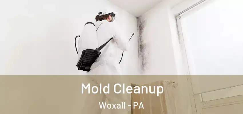 Mold Cleanup Woxall - PA
