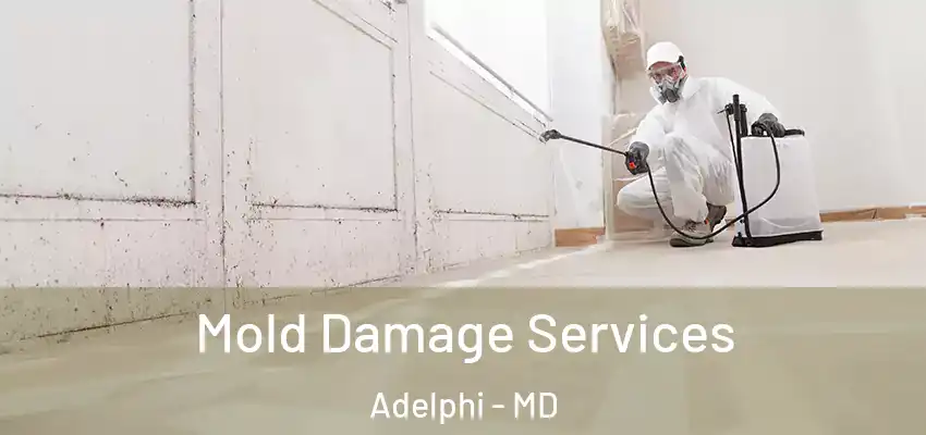 Mold Damage Services Adelphi - MD
