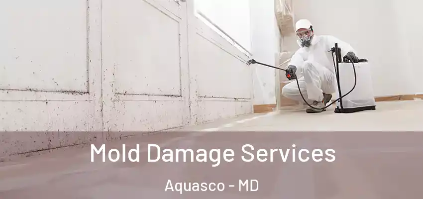  Mold Damage Services Aquasco - MD