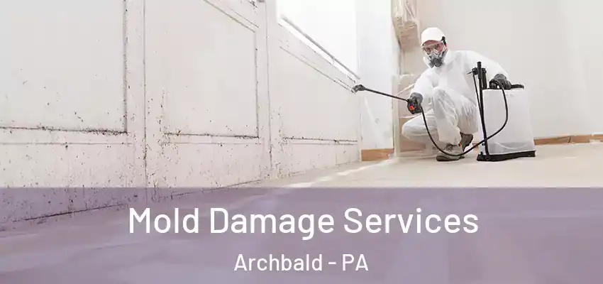  Mold Damage Services Archbald - PA