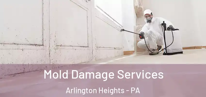  Mold Damage Services Arlington Heights - PA
