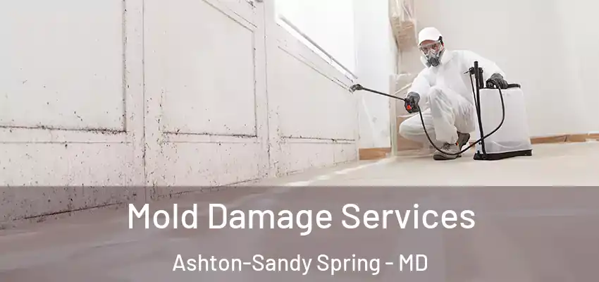 Mold Damage Services Ashton-Sandy Spring - MD