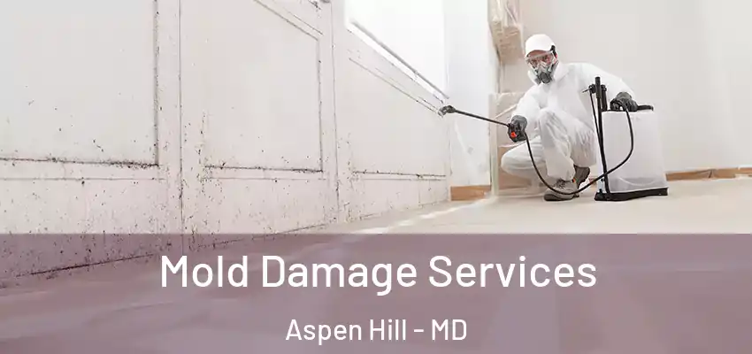 Mold Damage Services Aspen Hill - MD