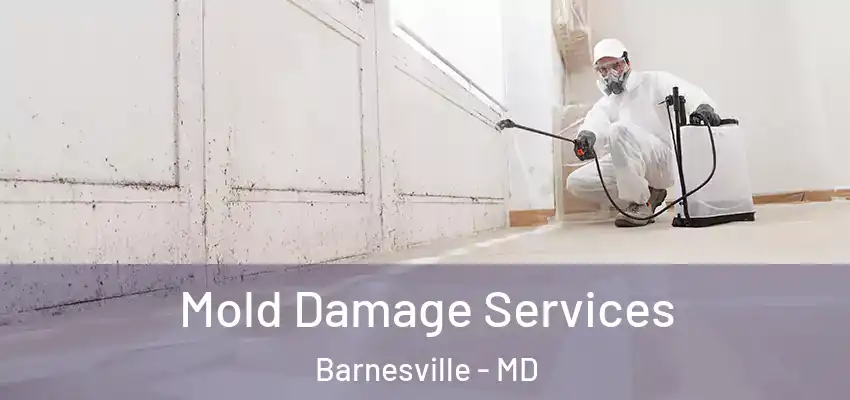  Mold Damage Services Barnesville - MD