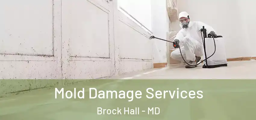  Mold Damage Services Brock Hall - MD