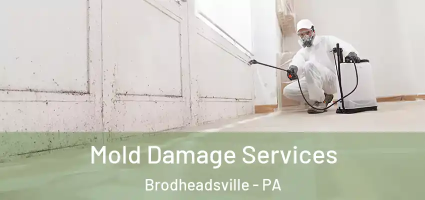  Mold Damage Services Brodheadsville - PA