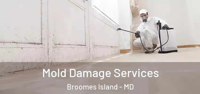 Mold Damage Services Broomes Island - MD