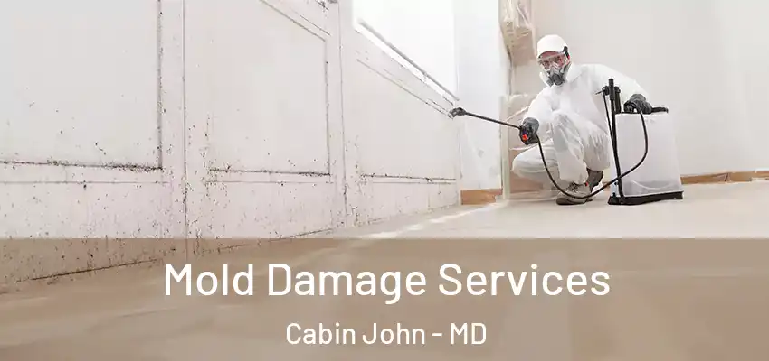  Mold Damage Services Cabin John - MD