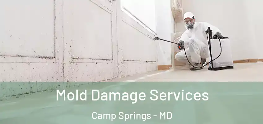  Mold Damage Services Camp Springs - MD