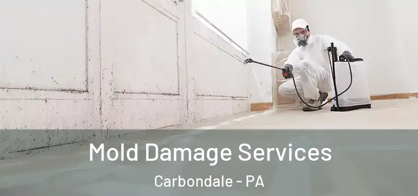Mold Damage Services Carbondale - PA