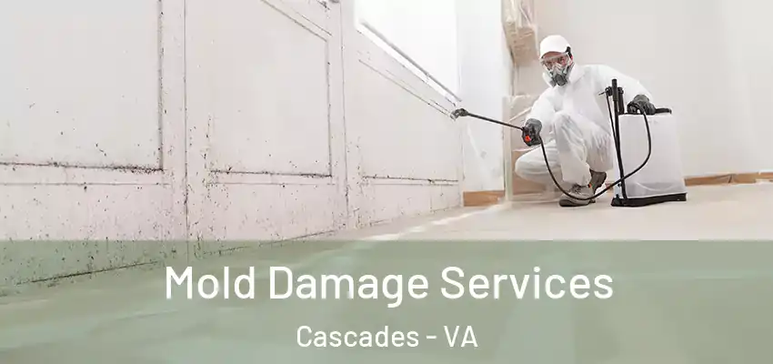  Mold Damage Services Cascades - VA