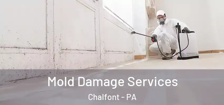 Mold Damage Services Chalfont - PA