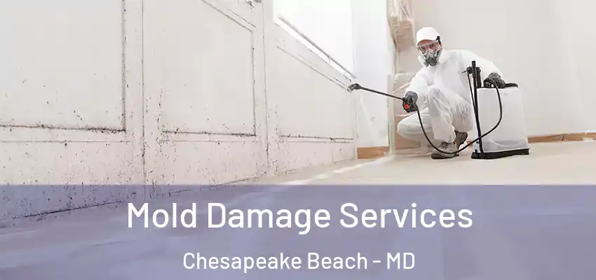 Mold Damage Services Chesapeake Beach - MD
