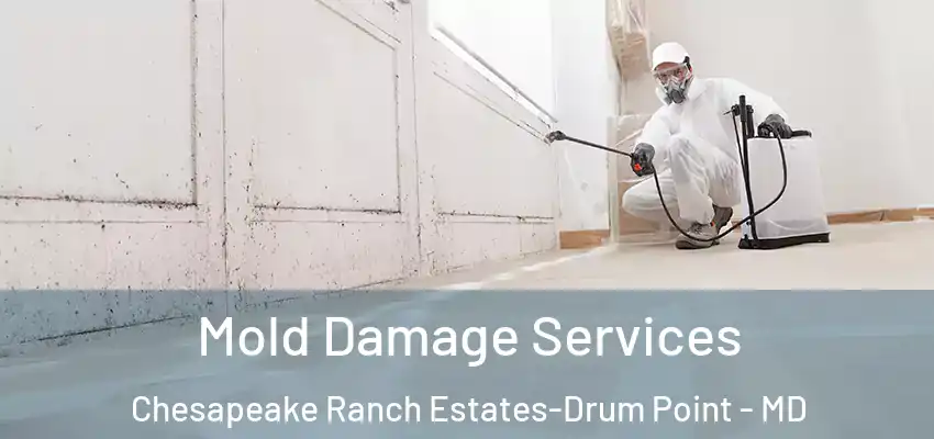  Mold Damage Services Chesapeake Ranch Estates-Drum Point - MD
