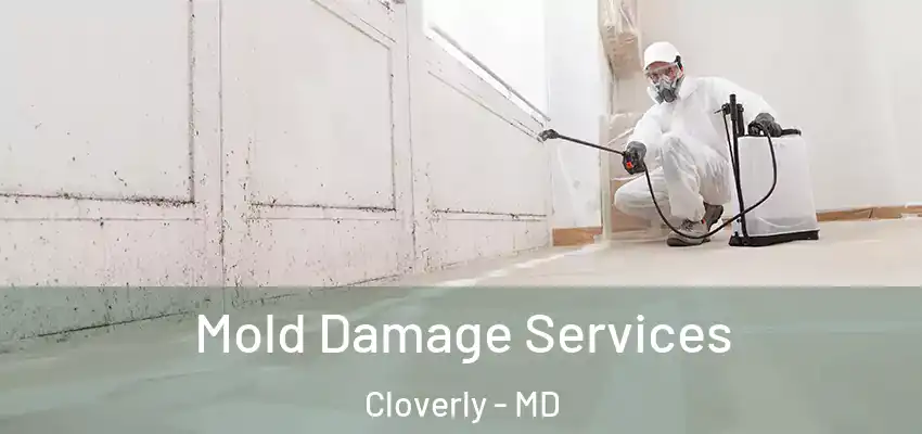  Mold Damage Services Cloverly - MD