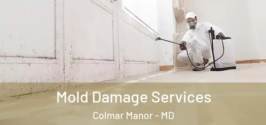  Mold Damage Services Colmar Manor - MD