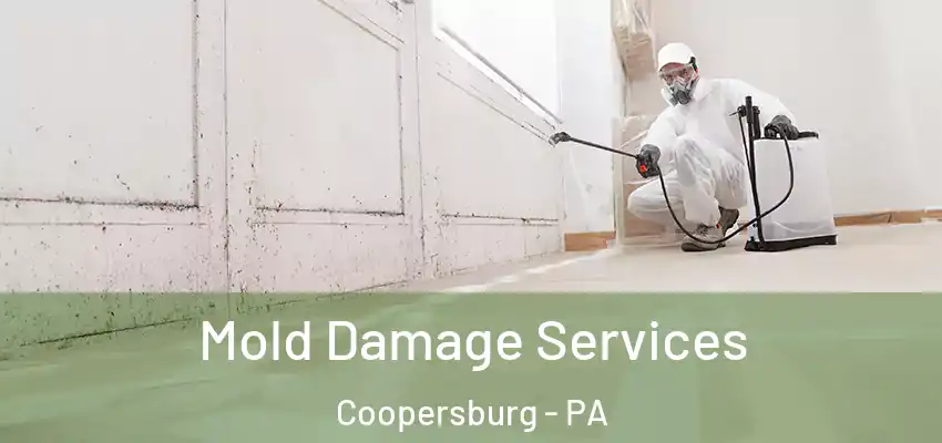  Mold Damage Services Coopersburg - PA