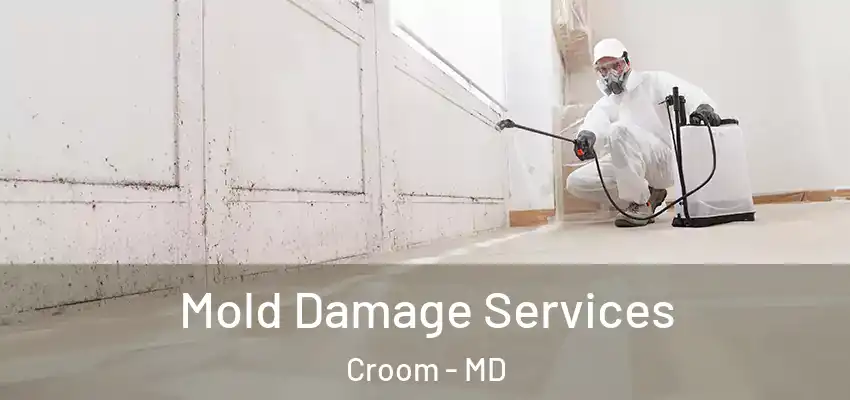  Mold Damage Services Croom - MD