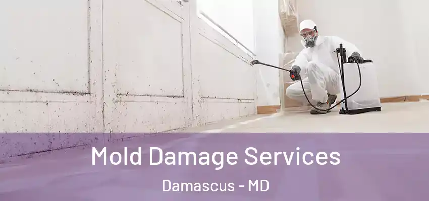  Mold Damage Services Damascus - MD