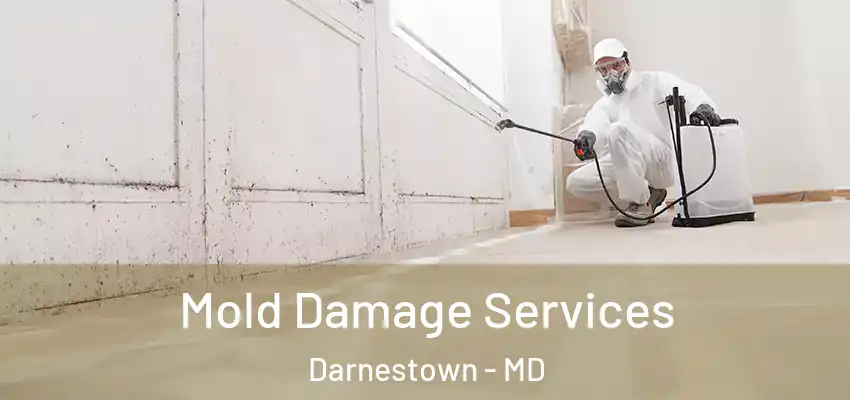 Mold Damage Services Darnestown - MD