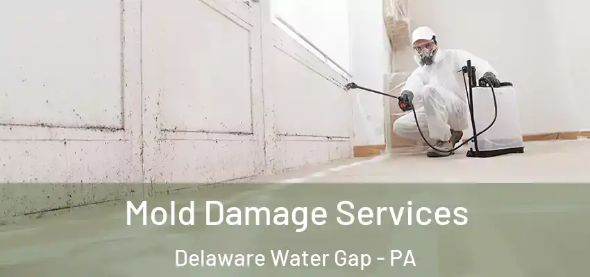 Mold Damage Services Delaware Water Gap - PA