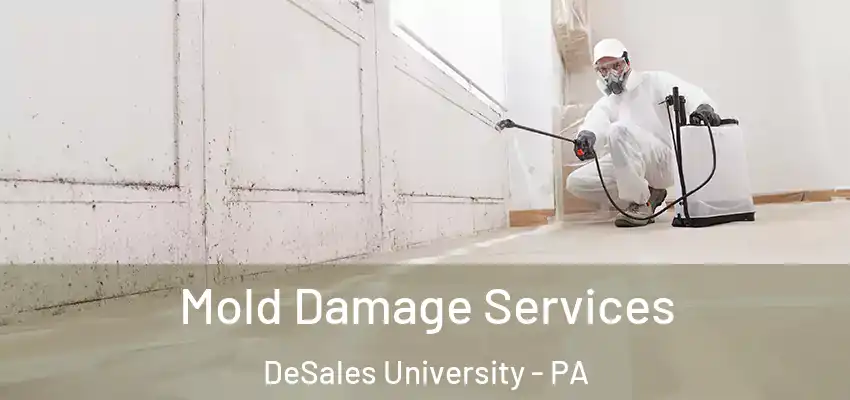  Mold Damage Services DeSales University - PA