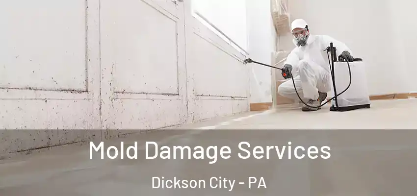  Mold Damage Services Dickson City - PA