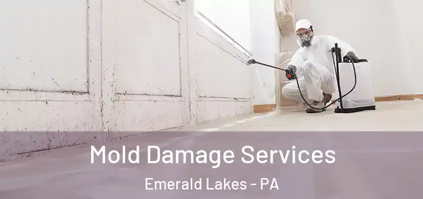 Mold Damage Services Emerald Lakes - PA