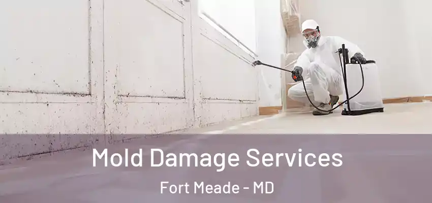 Mold Damage Services Fort Meade - MD