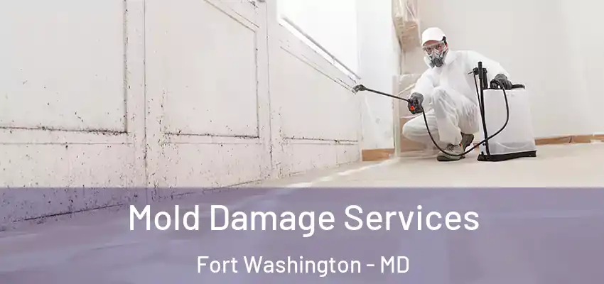 Mold Damage Services Fort Washington - MD