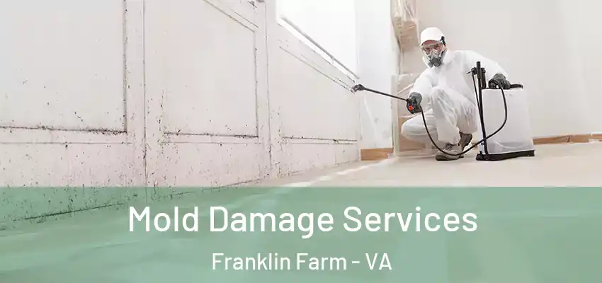 Mold Damage Services Franklin Farm - VA