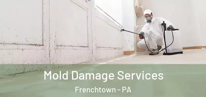 Mold Damage Services Frenchtown - PA